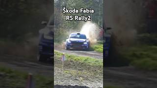 Skoda Fabia RS Rally2 Small Mistake [upl. by Ueihttam88]