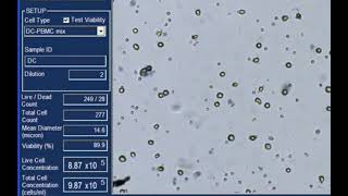 Cellometer Auto T4 Bright Field Cell Counter source Nexcelom Bioscience [upl. by Misaq]