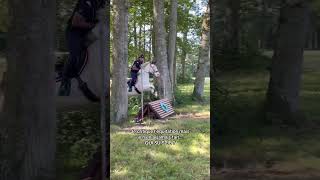 Les personnes qui critiquent l’équitation… cheval equitation sport cavalier chevaux horse [upl. by Bekaj]