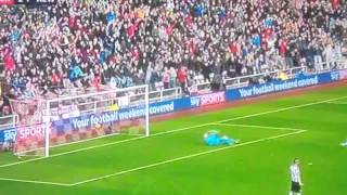 Borini goal Sunderland 21 Newcastle [upl. by Mccormick]