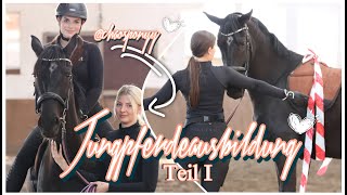 EIN MONAT MIT MIDNIGHT  JUNGPFERDEAUSBILDUNG TEIL I 🐴  ASKINO CONSAS amp Chaosponyy [upl. by Aneerb]