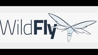 How to configure ssl certificate in wildfly server step by step [upl. by Chelsea]