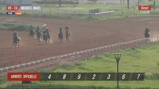 Live Hippodrome « MEKNES »  Courses du « 15022024 » [upl. by Bellamy]