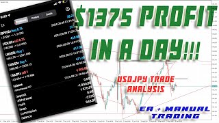 1375 Profit In A Day  Robot Trading  Manual Trading  USDJPY Trade ANALYSIS  Best EXPERT ADVISOR [upl. by Wainwright]