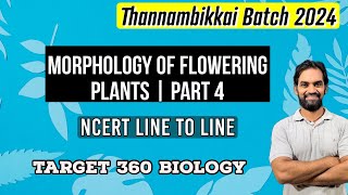 Morphology of Flowering Plants  Part 4  TB 2024 [upl. by Acnoib]