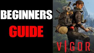 What Is Vigor DayZ With An Unraidable Base amp No Zombies Beginners Guide How To Play amp What To Do [upl. by Flanagan215]