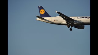 Frankfurt Plane Spotting [upl. by Judye421]