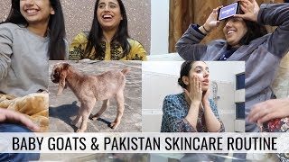 Family Fun Baby Goats amp Skincare Routine  PAKISTAN VLOG [upl. by Gillie]