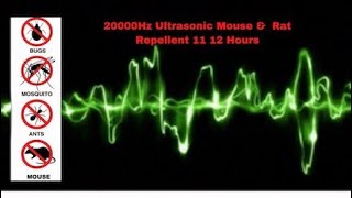 Ultrasonic Mouse and Rat Repellent 12 Hours  20000Hz  No ads [upl. by Eeneg619]