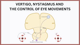 Vertigo Nystagmus and the Control of Eye Movements Explained [upl. by Ytsirhk]