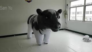 Cow Inflatable Costume Artistic Direction How To Decorate Wedding Stage Event [upl. by Ahsir]