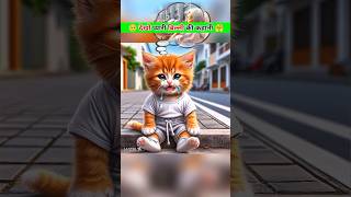 Poor Cat And Black Cat 😺Catsoftiktok CatLovers cat cute FunnyCats catcartoon fyp [upl. by Damalis]