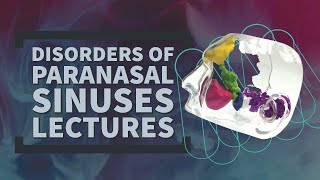 PARANASAL SINUSES lecture 1 Maxillary and Frontal sinus detailed ANATOMY made easy [upl. by Gaskin]