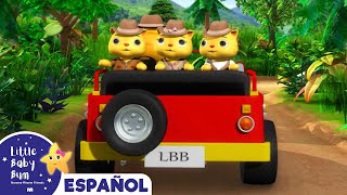 Tres Gatitos  Canciones Infantiles  Dibujos Animados  Little Baby Bum en Español [upl. by Annaihs]