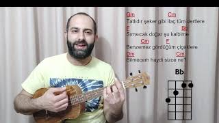 BÄ°LMECE ANNE ÅARKISI  Ukulele Dersleri [upl. by Anirt]