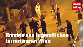 Banden von Jugendlichen terrorisieren Wien  kronetv NEWS [upl. by Notaek]