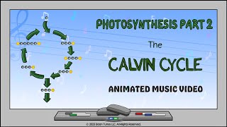 Photosynthesis Part 2 The Calvin Cycle  Animated Music Video [upl. by Johansen116]