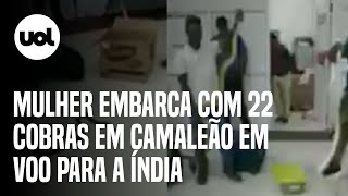 Passageira embarca com 22 cobras e um camaleão em voo para a Índia [upl. by Assereht]