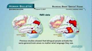 Science Bulletins Bilingual Brain Switch Found [upl. by Annelise60]