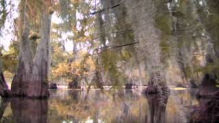 Bayou Bucks DVD Trailer [upl. by Jonna]