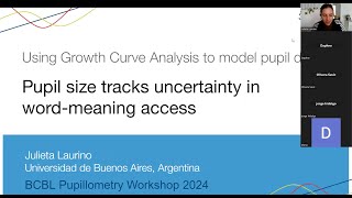 BCBL 2024 Pupillometry Workshop Practical Example 3 [upl. by Corwun]