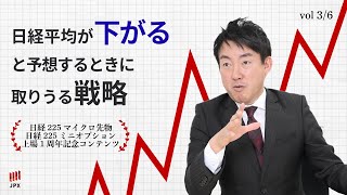 【 日経225マイクロ先物 ・ 日経225ミニオプション １周年】 日経平均 が 下がる と予想するときに取りうる 戦略 with 守屋史章 [upl. by Juli]