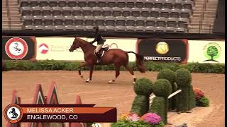 122 Melissa Acker  Herradura  2nd Place 1617 Eq and Reserve Champion at the National Horse Show [upl. by Yenettirb]