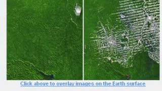 UNEP  Amazon Deforestation in Google Earth [upl. by Myrna984]