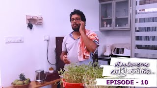 Episode 10  Snehathode Veetilninnu  Missing the Marimayam team [upl. by Tayib]