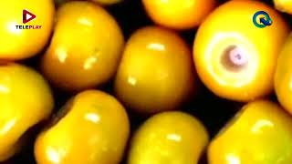 “Los subproductos de frutas tropicales” – Acceso Directo [upl. by Dougald22]