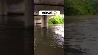 Flooding In Jaela😱 Be Safe Everyone😨❤️ floodingnature [upl. by Healion]