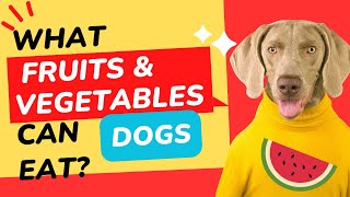 Can Dogs Eat Apples Bananas Watermelon Carrots Grapes The Definitive Guide to What Dogs Can Eat [upl. by Cressida415]