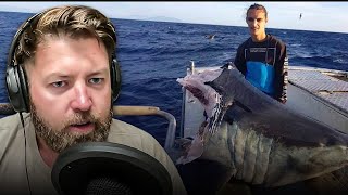 Wildlife Expert Reviews Possible Megalodon Proof [upl. by Llewsor]