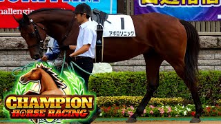 Champion Horse Racing  NEW 2024 Horse Racing Game Similar To Rival Stars amp Gallop Racer  Day 9 [upl. by Zerat]