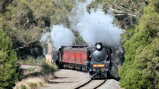 Australian Steam Ballarat Heritage Festival with K153 amp A²986 25 May 2024 [upl. by Nomelif307]