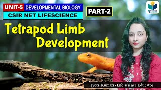 TETRAPOD LIMB DEVELOPMENT PART2 CSIR NET DEVELOPMENTAL BIOLOGY [upl. by Hayman]