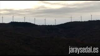 Policia Foral de Navarra dispara muflones desde un helicóptero [upl. by Noremac]