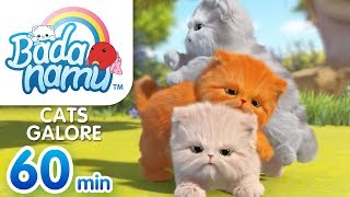 Cats Galore  Badanamu Compilation l Nursery Rhymes amp Kids Songs [upl. by Nirik447]