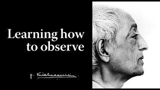 Learning how to observe  Krishnamurti [upl. by Mcgruter]