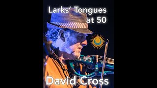 David Cross plays Larks Tongues clips [upl. by Rasec]