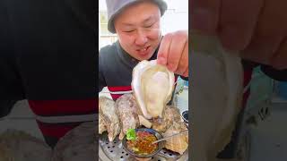 asmr eating raw oysters mukbang [upl. by Ainoz]