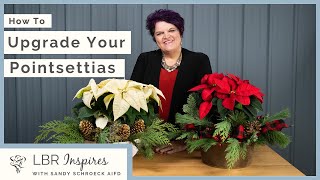 How To Upgrade Your Poinsettias Into A Beautiful Centerpiece [upl. by Alikahs]