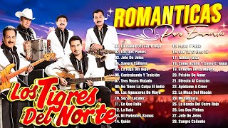 LOS TIGRES DEL NORTE CORRIDOS PROHIBIDOS ALBUM COMPLETO  PUROS CORRIDOS PESADOS DE TIGRES DEL NORTE [upl. by Agata516]