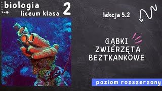 Biologia klasa 2 Lekcja 52  Gąbki  zwierzęta beztkankowe [upl. by Anahir]