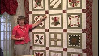 Egg Money Quilts quotFinishing Sampler Onequot [upl. by Aldric]