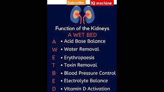 Function of the kidney science biologysciencefacts gk mtsgkgs upsc upsc kidneyfacts kftgk [upl. by Weissmann]