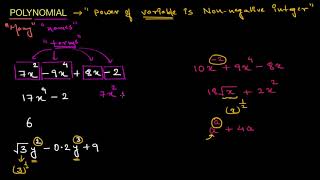 Polynomials intro Hindi [upl. by Lymn]