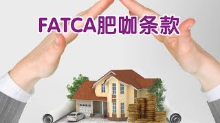 如何依照FATCA肥咖条款申报海外资产 [upl. by Onairam964]