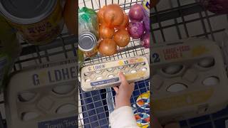 Shop With Me at Aldi 🩵 groceryshopping shopwithme [upl. by Vel288]