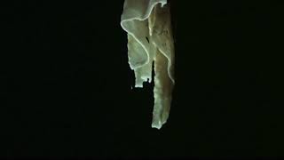 Whats the difference between stalactites and stalagmites [upl. by Ellebasi]